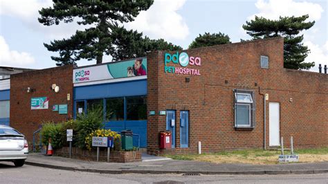 pdsa near me